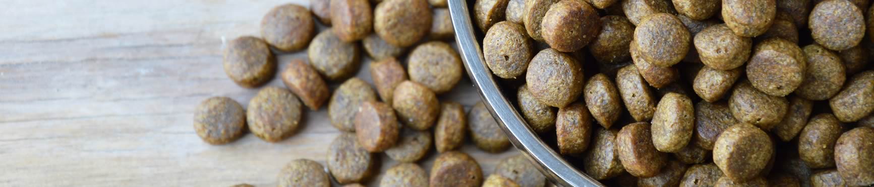 Animal nutrition & pet food applications | Ebro Ingredients