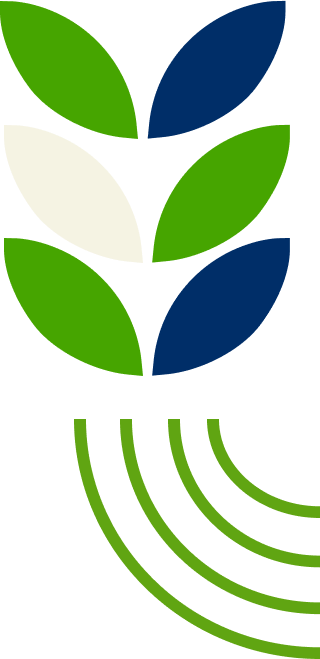 icon-right-ingredients